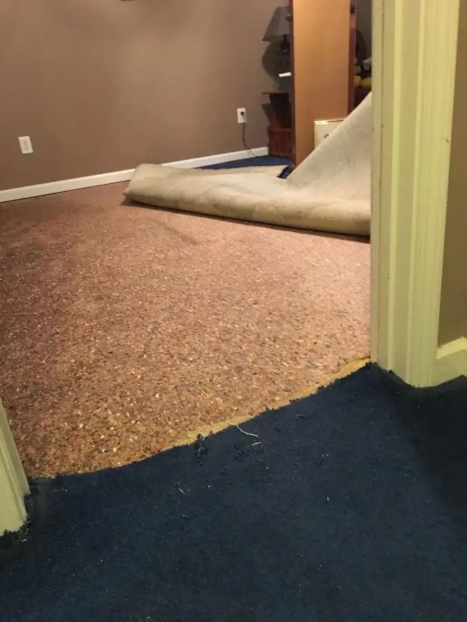 Carpet pad removal revealing water damage during Water Mitigation Services in Renton