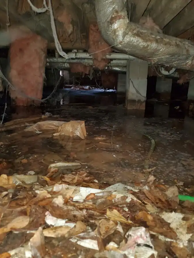 Crawl space flood assessment for Commercial Water Damage Restoration in Renton